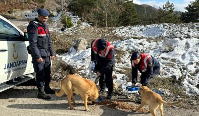 Jandarma, Zorlu Kış Şartlarında Sokak Hayvanlarını Unutmadı